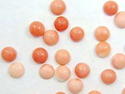 5mm - 6mm Natural Pink Salmon Coral Round Cabochon